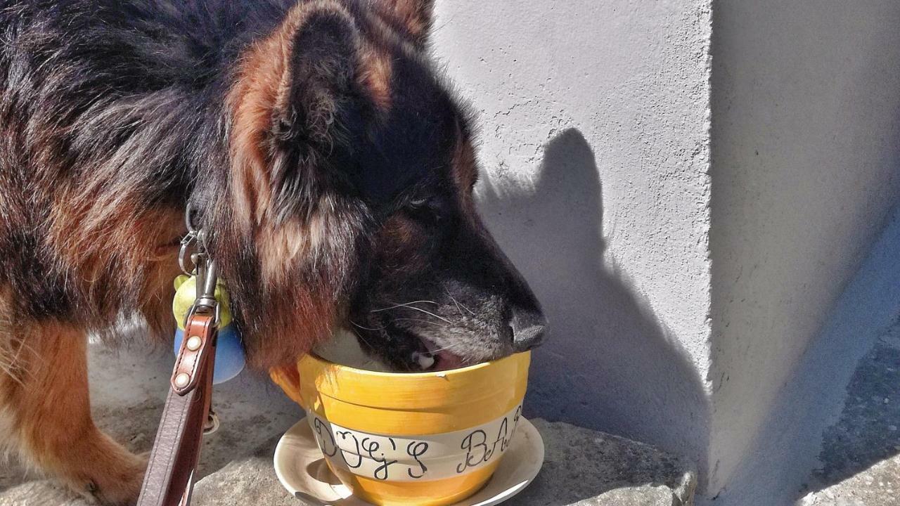 Agriturismo Casa Agricola Rossi Appartamenti In Casentino Soci Dış mekan fotoğraf