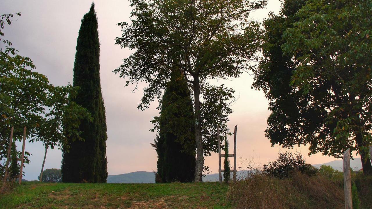 Agriturismo Casa Agricola Rossi Appartamenti In Casentino Soci Dış mekan fotoğraf