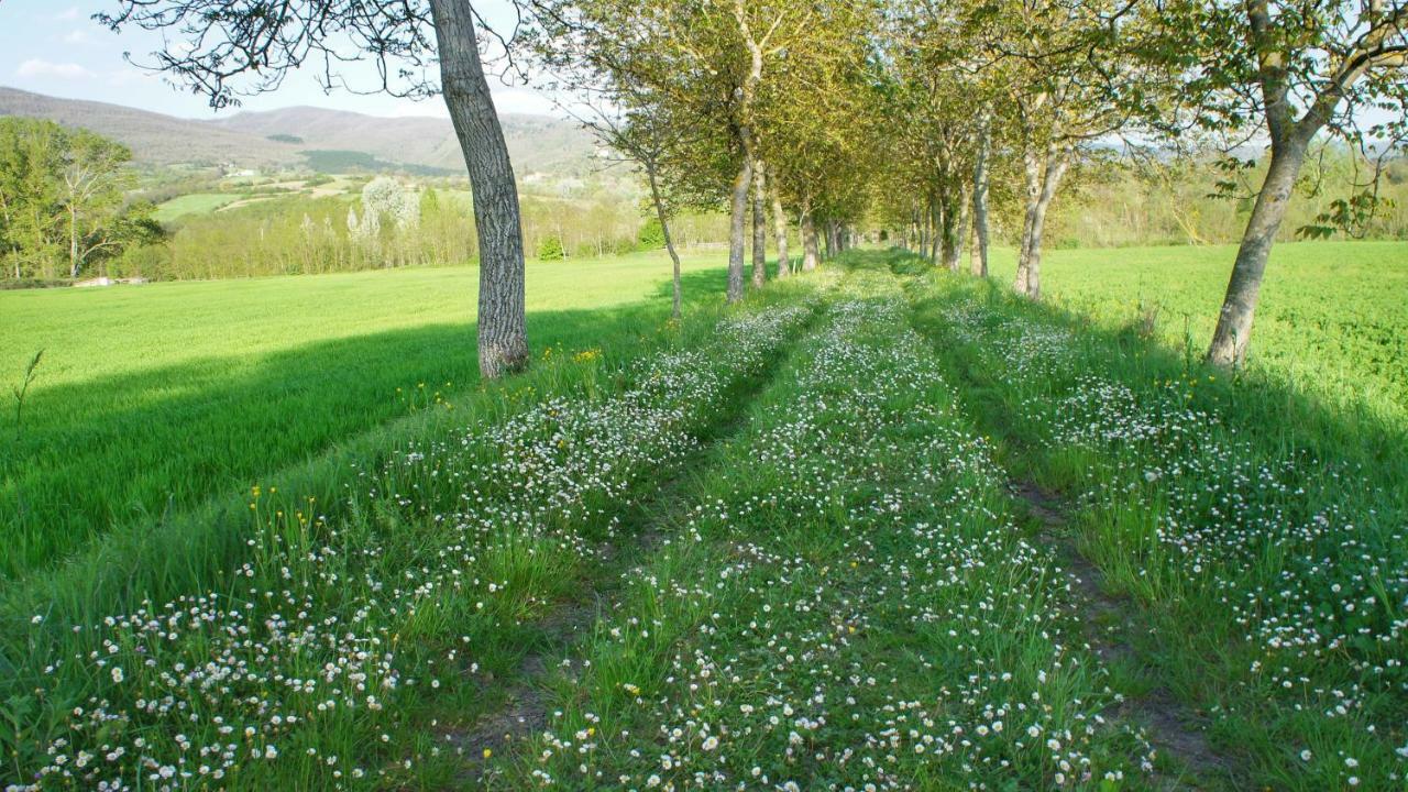 Agriturismo Casa Agricola Rossi Appartamenti In Casentino Soci Dış mekan fotoğraf