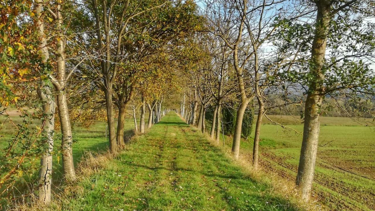 Agriturismo Casa Agricola Rossi Appartamenti In Casentino Soci Dış mekan fotoğraf