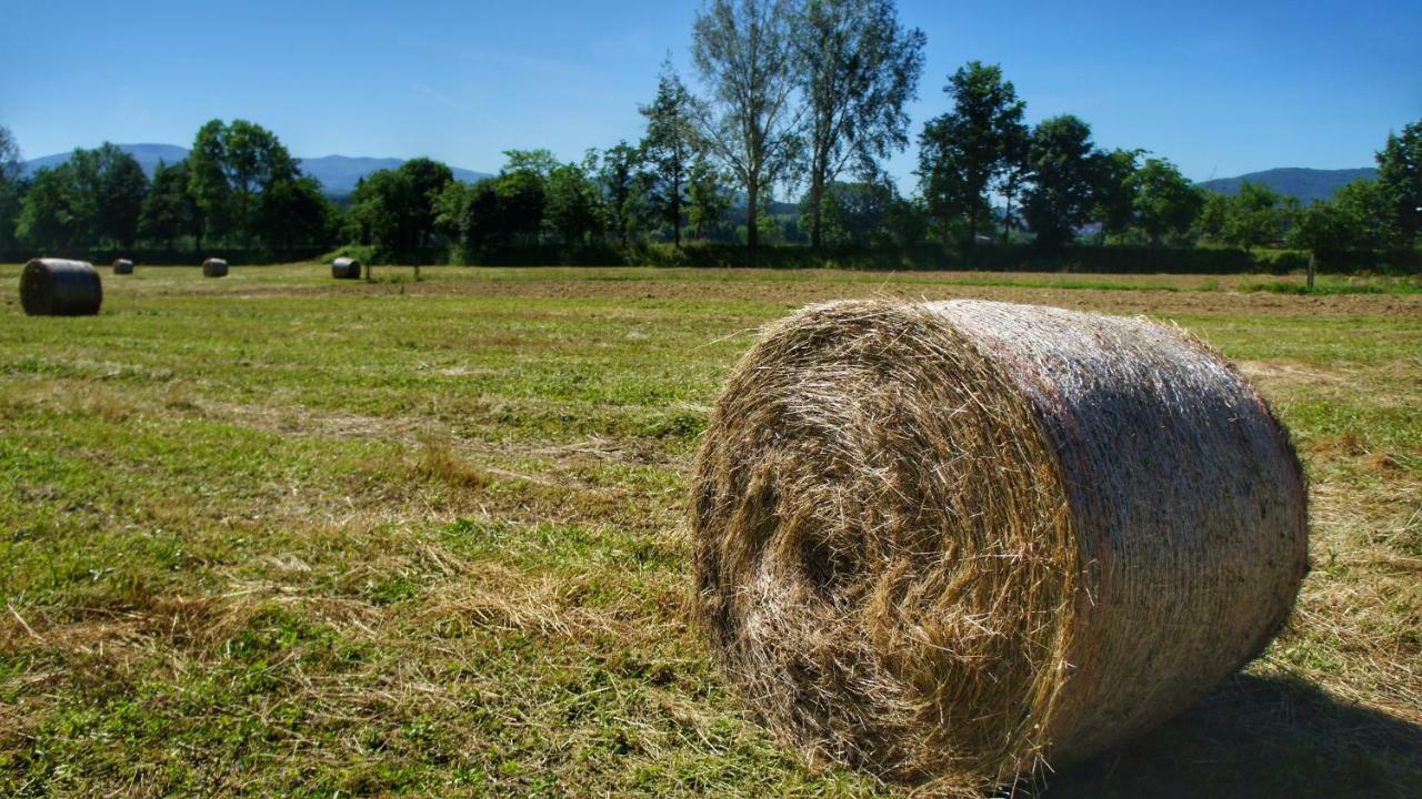 Agriturismo Casa Agricola Rossi Appartamenti In Casentino Soci Dış mekan fotoğraf