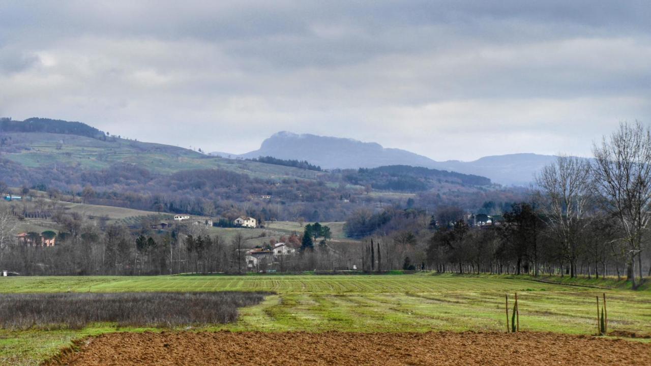 Agriturismo Casa Agricola Rossi Appartamenti In Casentino Soci Dış mekan fotoğraf