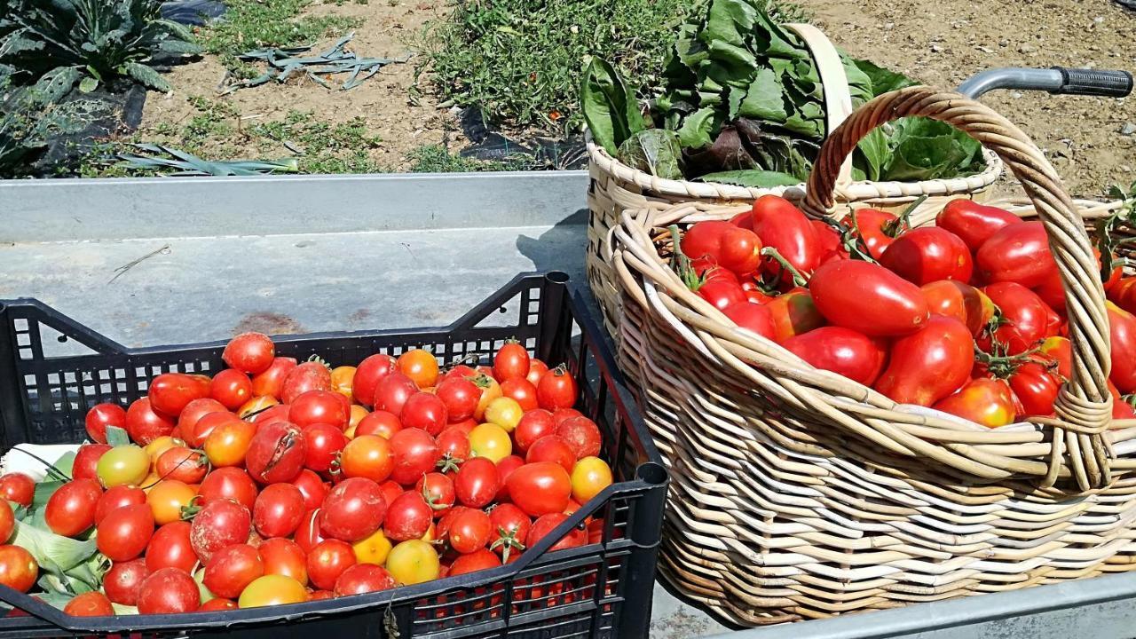Agriturismo Casa Agricola Rossi Appartamenti In Casentino Soci Dış mekan fotoğraf